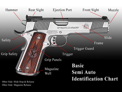 gun chart